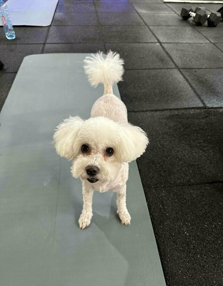 スキニーアナルOnlyFans えろ 画像