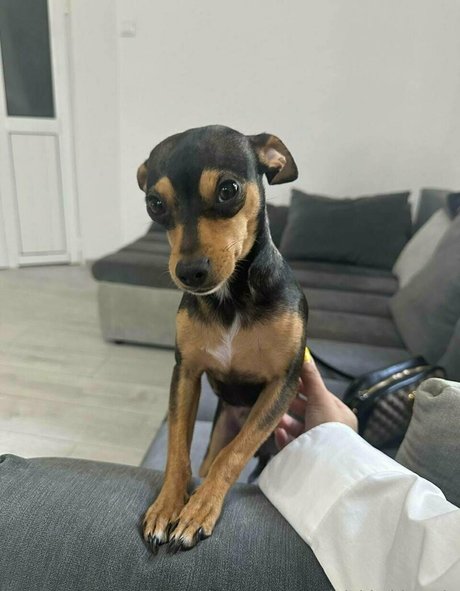 甘いおまんこオンリーファンズ ホットxxx アーカイブ