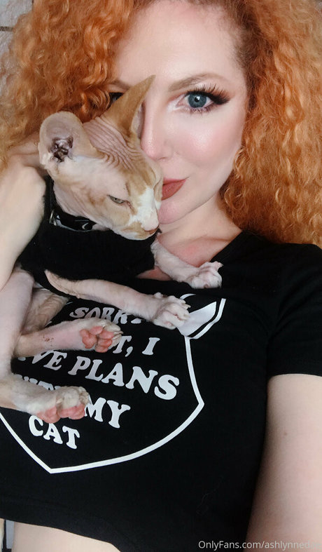 ashlewddae ホットモデル アーカイブ