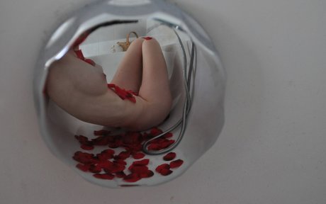 GroovyFlowerGirl ホットスター ギャラリー