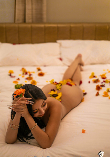 alex is amzing 高品質のスター ギャラリー