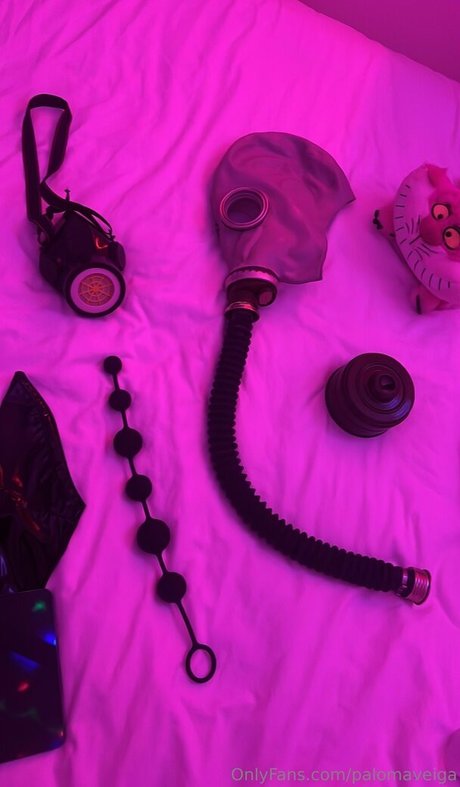 palomaveiga HDスター 写真