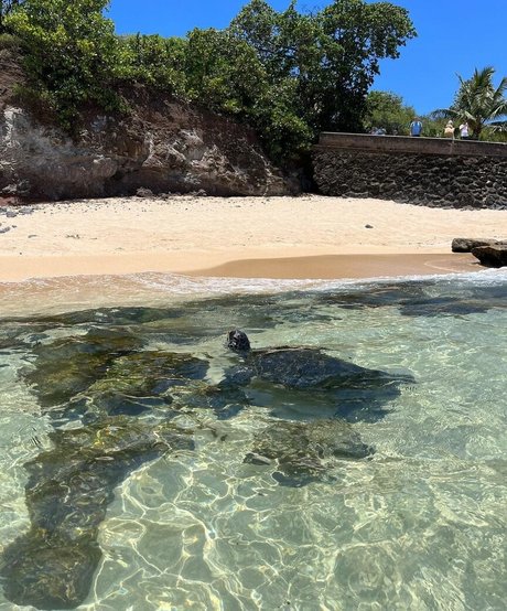 Anika Grace ポルノスター ギャラリー