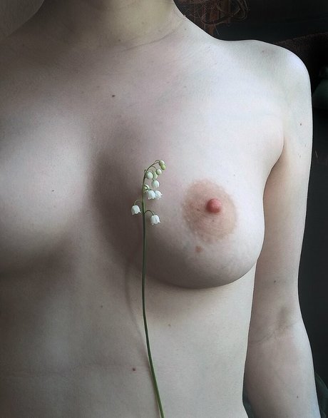 alicenudes ポルノモデル 画像