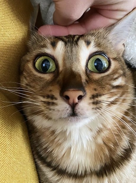 巨乳の赤毛オンリーファンズ 美しい ギャラリー