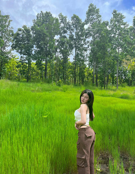 nam093178 アートスター 画像