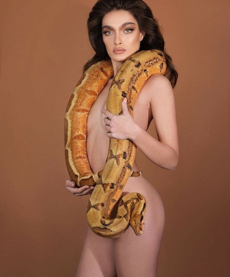 黒檀の猫オンリーファンズ ヌード 写真