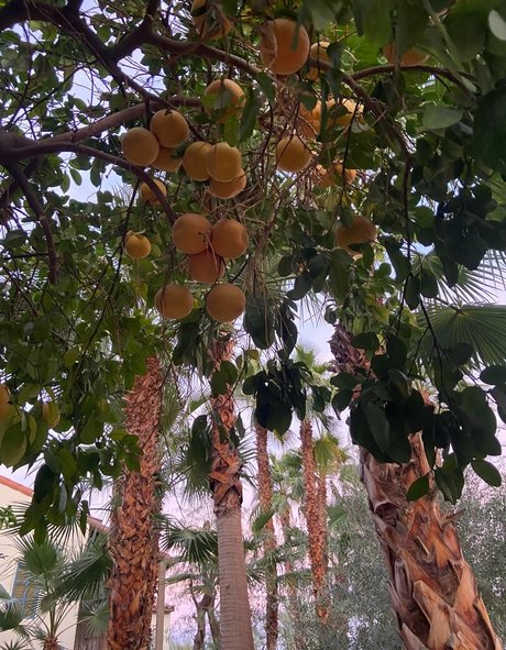 熟女の足オンリーファンズ ヌード 画像