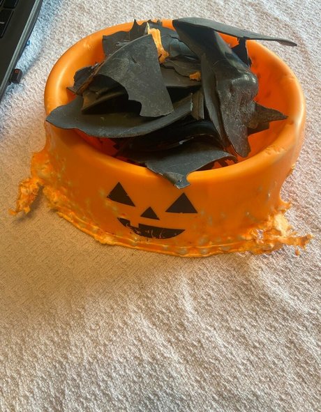 フェイシャルオンリーファンズ 無料 ギャラリー