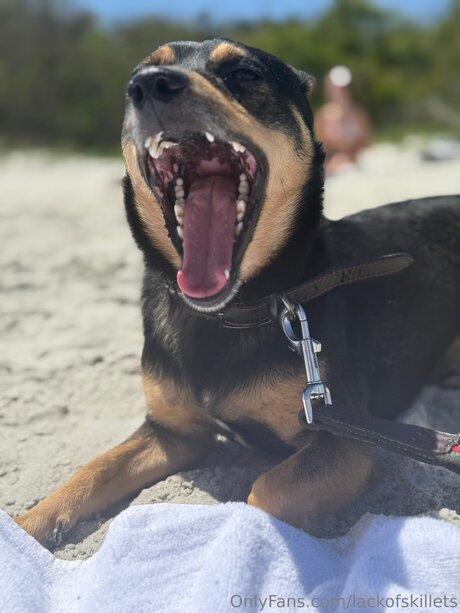 lackofskillets ヌードスター 写真