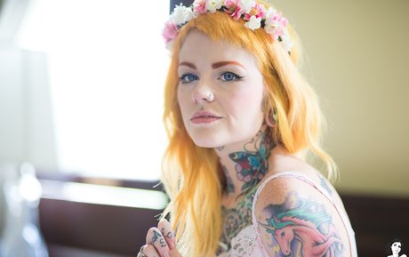 Faun スター 写真