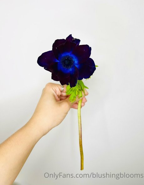 バレーボール オンリーファンズ えろた 写真