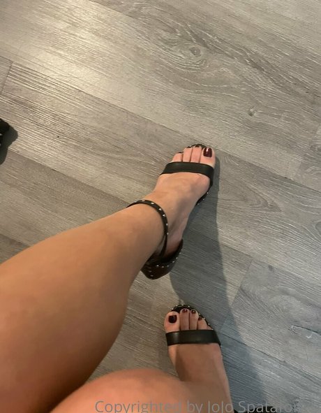 ラバーオンリーファン トップ 写真