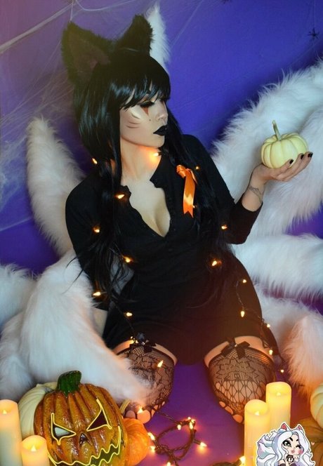 FeliciaVox HDモデル 写真