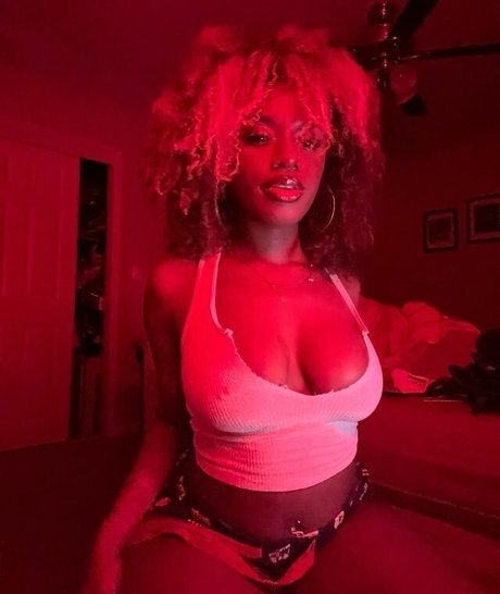 xo rocky ox7 スター xxx 写真