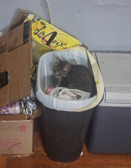 おばあちゃんの熟女OnlyFans ホットセックス 写真