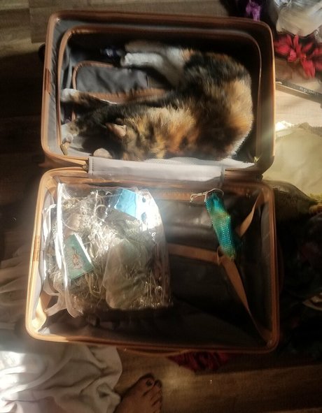 巨乳義母OnlyFans 可愛い 写真