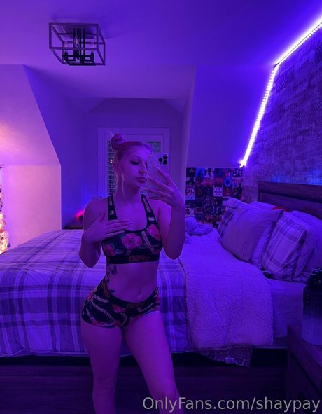 shaypay Bilder