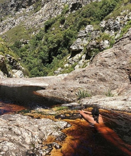 arielcosmo 限定モデル 写真