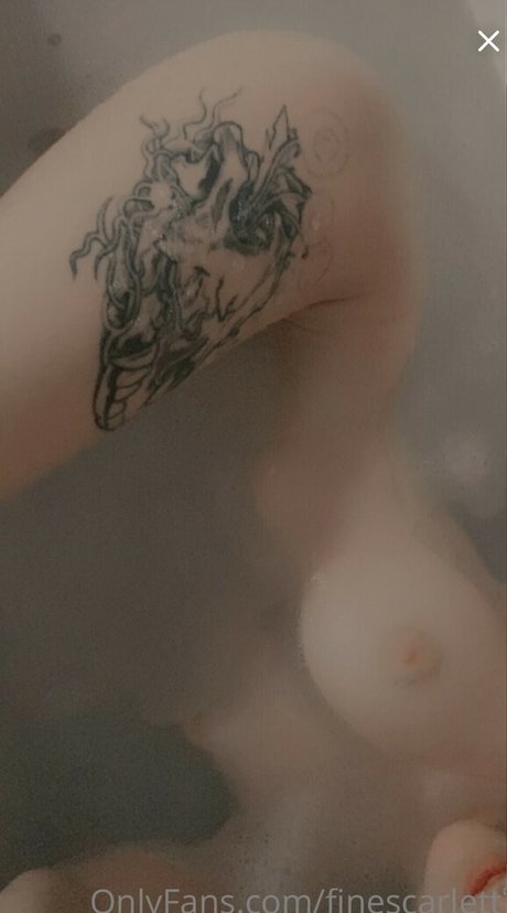 Finescarlett エロティックなポルノスター 画像