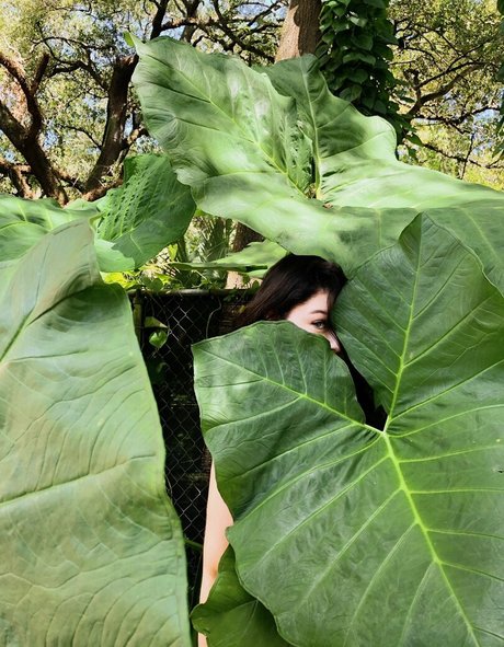 Alondra Larson Profilbild