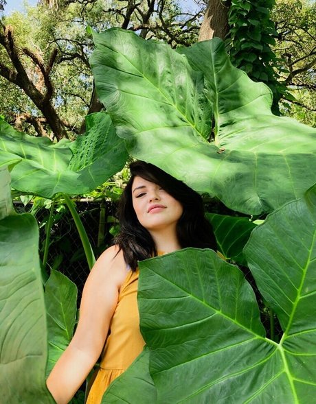 Alondra Larson ヌードのポルノスター 画像