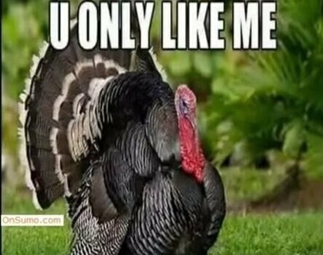 titstattsntravel トップモデル ギャラリー