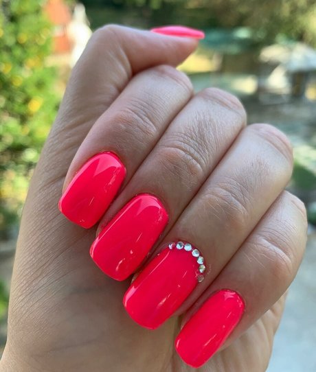 elisabetta mediterraneagirl セックススター 写真