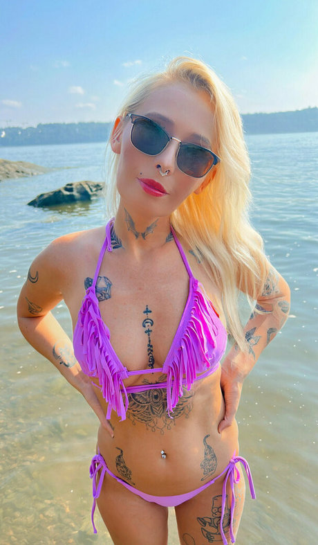 Kitty Mom HDスター 画像