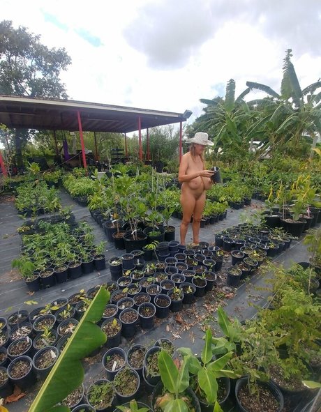 Busty Petra HDスター 写真