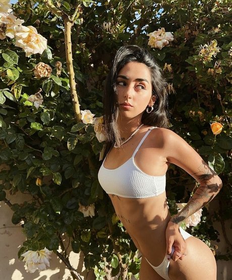 iambabypil 無料のスター 写真