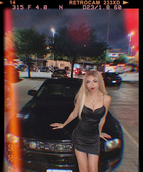 BDSM奴隷OnlyFans ホット 画像