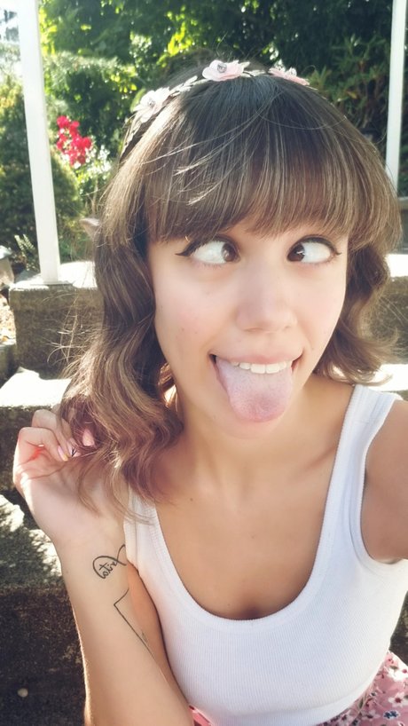 ブラジルの猫オンリーファンズ HD 写真