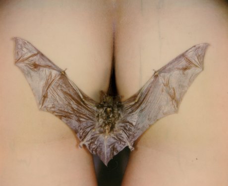 _Sad Samo トップ女優 画像