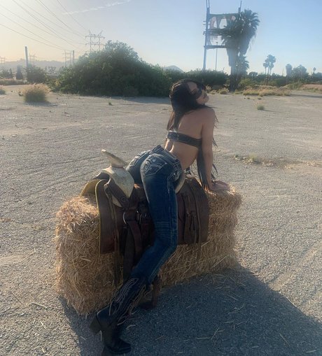 _Sad Samo HDモデル 写真