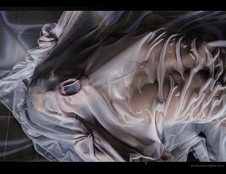 _Lana Ronina ポルノスター アート 写真