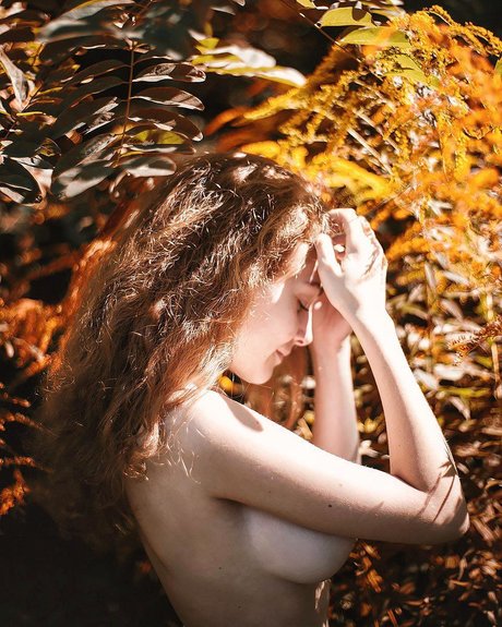 Ave Maria_ アートポルノスター 画像