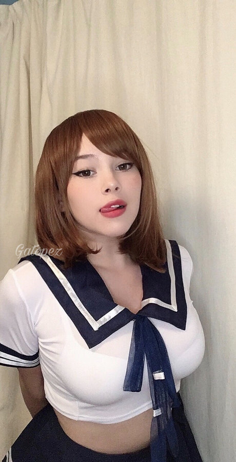 Gato Pez アートスター アーカイブ