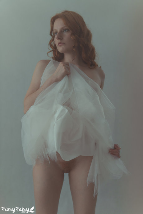 アナルトランスOnlyFans 限定 写真