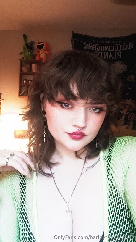 Harleythebanshee ヌードのポルノスター 画像