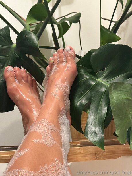 Pvz Feet 独占ポルノスター 写真