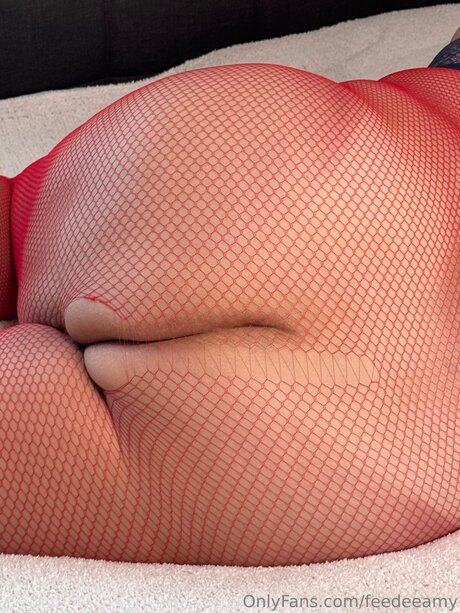 Feedeeamy セクシー女優 写真