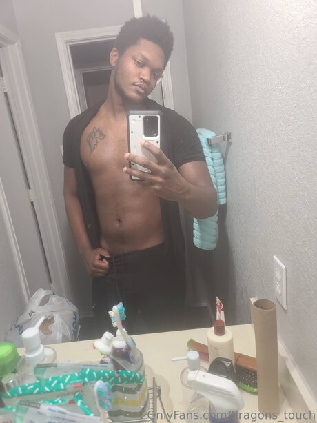 Dragons Touch 最高のモデル 画像