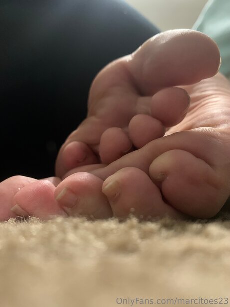 Marcitoes23 トップ女優 写真