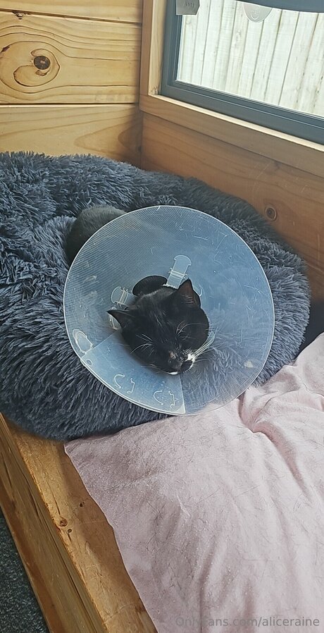 ゲイビデオ OnlyFans セックス 写真