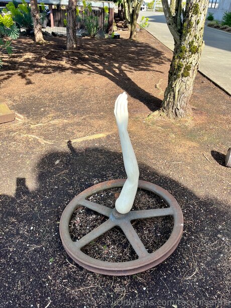 Tacomaarms 独占スター 画像