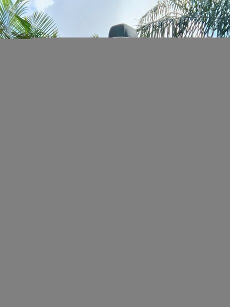 Iamdrewc00 アート女優 写真