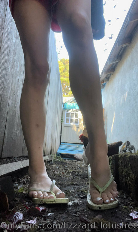 lizgizzardfree トップスター 写真