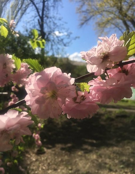 曲線美の女の子オンリーファンズ xxx ギャラリー