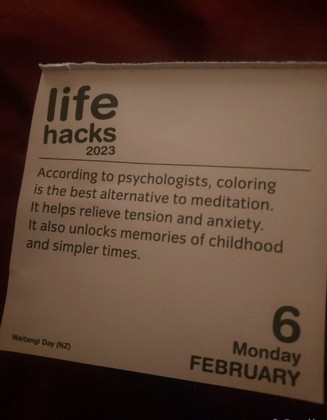 ジンジャートゥインクオンリーファンズ 限定 画像